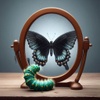 Black Butterfly Wellness, PLLC