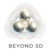 Beyond5d Solutions