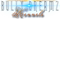 Bully Dreamz Kennels