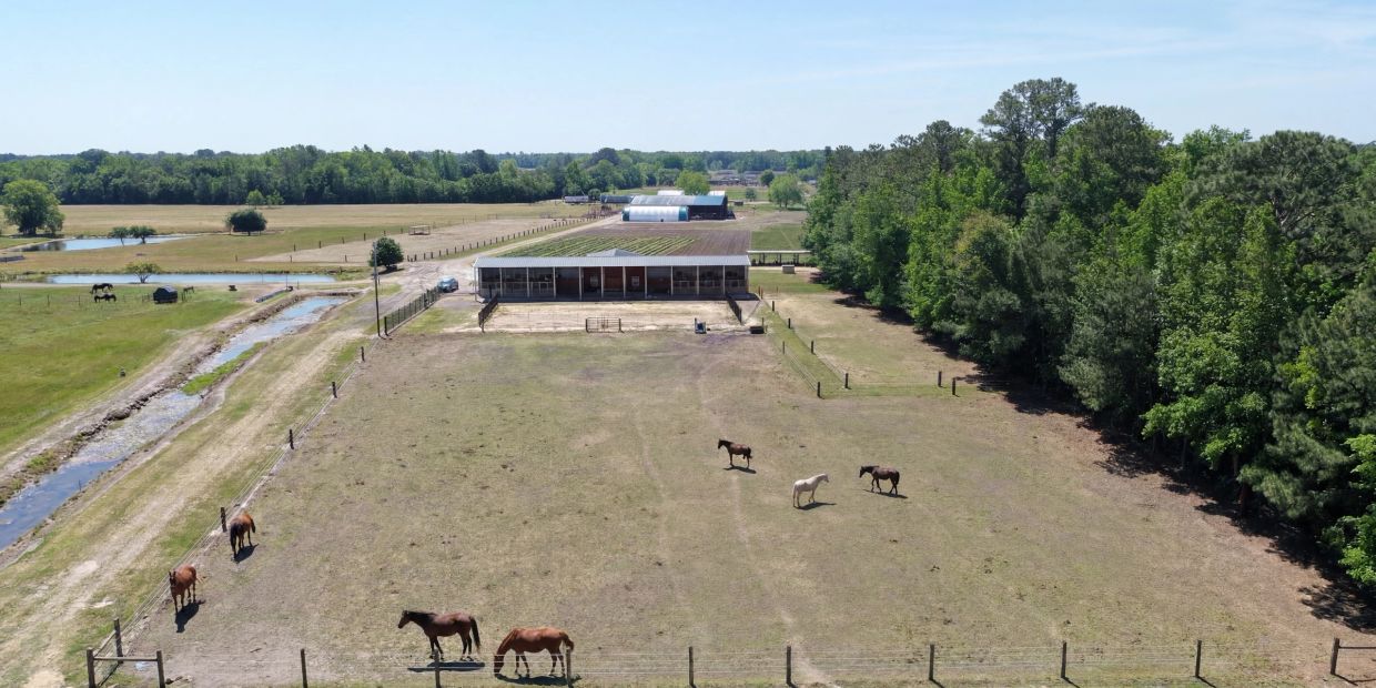 Scenic horse farm with horses grazing and a stable.