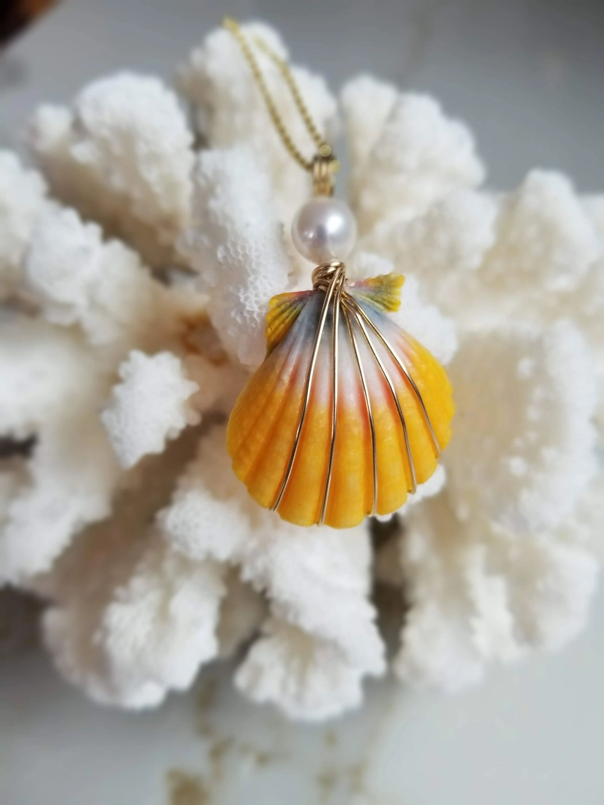 Rare Muti Colored Handcrafted Hawaiian Sunrise Shell wrapped in 14KT gold wire, 