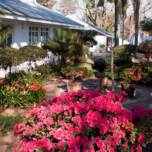 Lindekroon garden