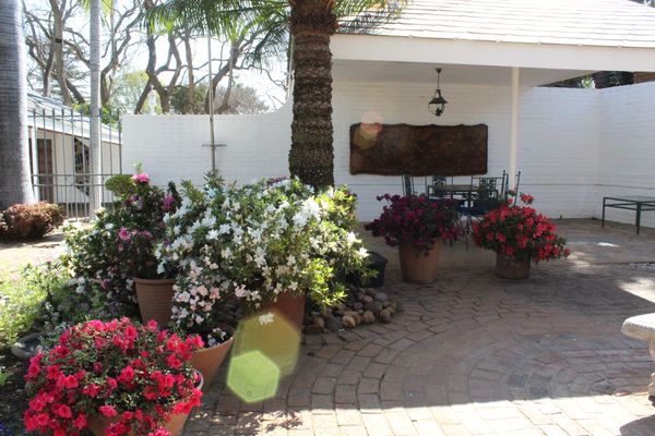 Lindekroon garden