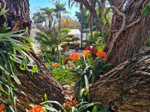 Lindekroon garden