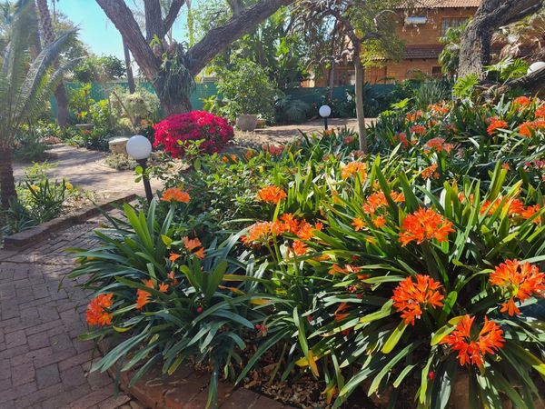 Lindekroon garden