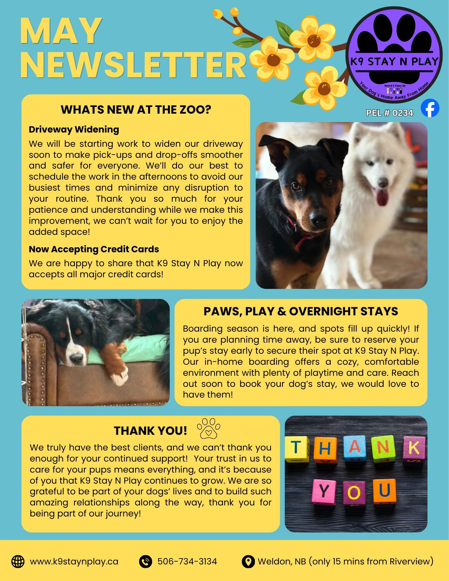 May newsletter from K9 Stay N Play with updates on driveway widening, credit card acceptance, and boarding services.