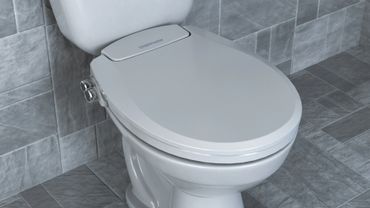 Bidet Seat