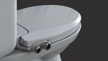 Bidet Controls