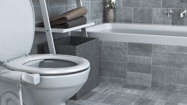 Bidet Control Handle