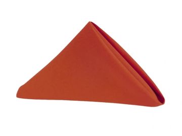 Rust linen napkin.