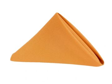 Burnt orange linen napkin. 