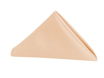 Champagne linen napkin.