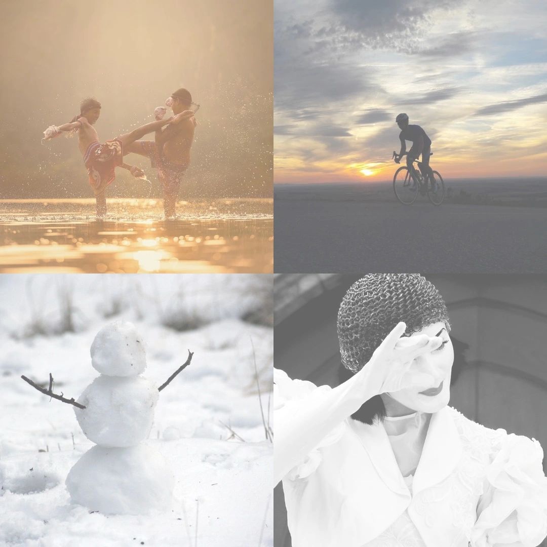 Die 4 Klassiker der Stressreaktion: Fight, Flight, Freeze, Fawn