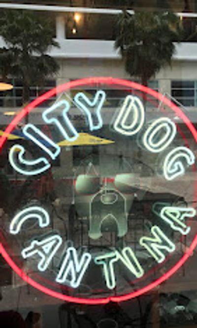 Neon sign of City Dog Cantina with dog illustration.