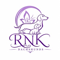 RNK Dachshunds