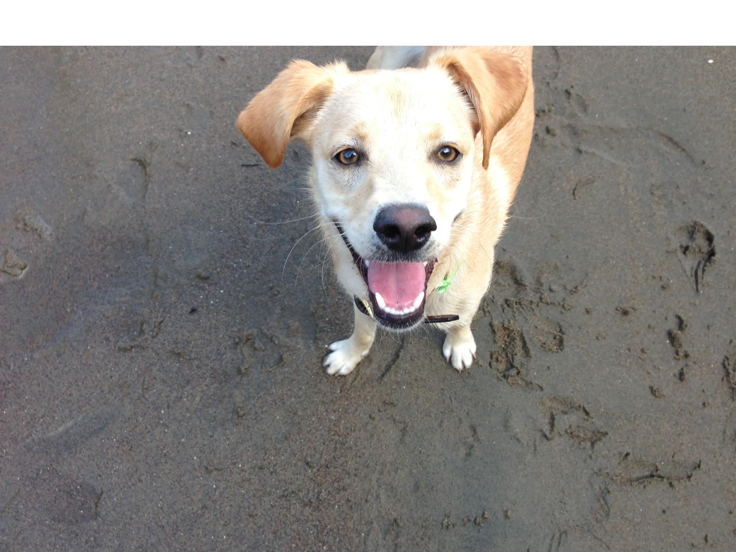 Riley is working on engagement and increasing eye contact duration.