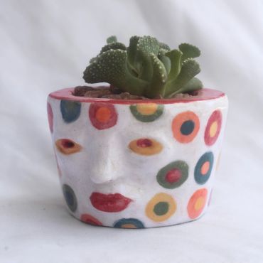 Unique painted planter with succulent and colorful dots.
