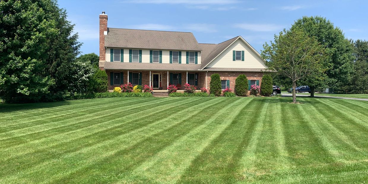 Lawn Maintenance