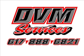 DVM Services llc