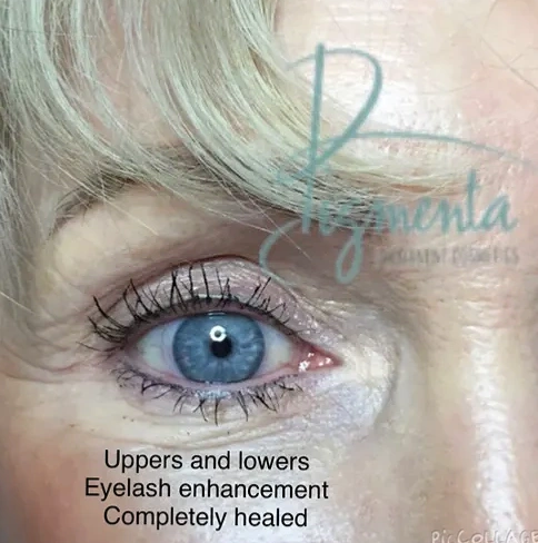 PIGMENTA  permanent cosmetics