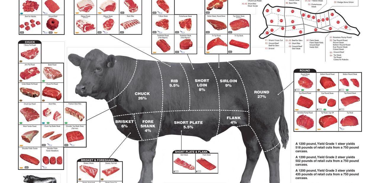 Black Angus Meat Cut Chart for your custom cut all natural beef from your buthcher.