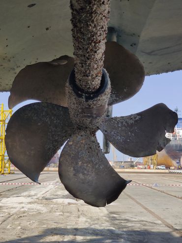 Rusty boat propeller covered in barnacles.