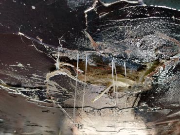 Close-up of a damaged ceiling with hanging debris and exposed layers.