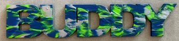 The name Buddy painted in Seattle Seahawks colors (dark blue, bright green, and gray/silver)