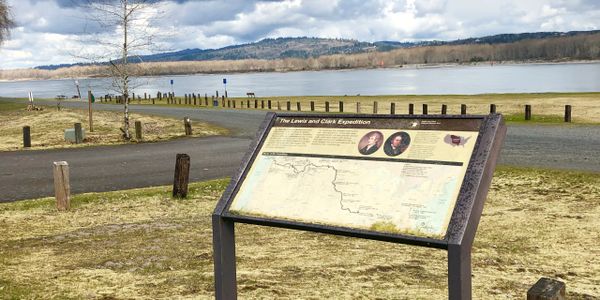 fly london ladies ankle boots