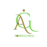 ambiglobal.com