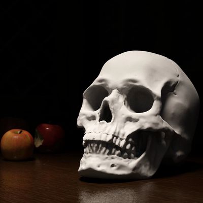 ASCENDING ARTIST'S CRANIUM
By Ramu Söderlind