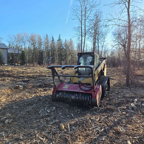 Forestry mulcher clearing a wooded area with leafless trees around.