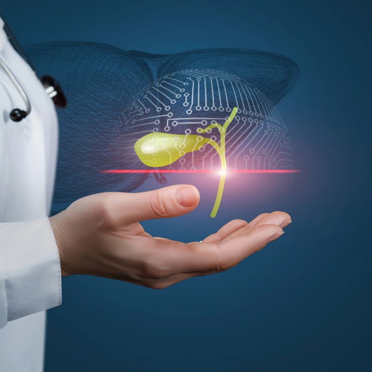 INTELIGENCIA ARTIFICIAL COMO APOYO AL DIAGNÓSTICO MÉDICO