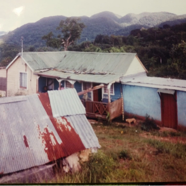 Rustic houses with tin roofs in a mountainous rural area.