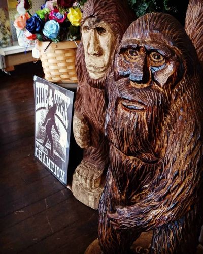 I didn't believe': The story of the WV Bigfoot Museum