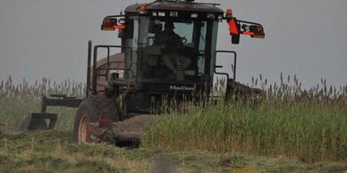 Custom Forage in Texas. Swathing. Huffman Farms.