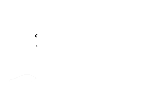 Avci Legal Services