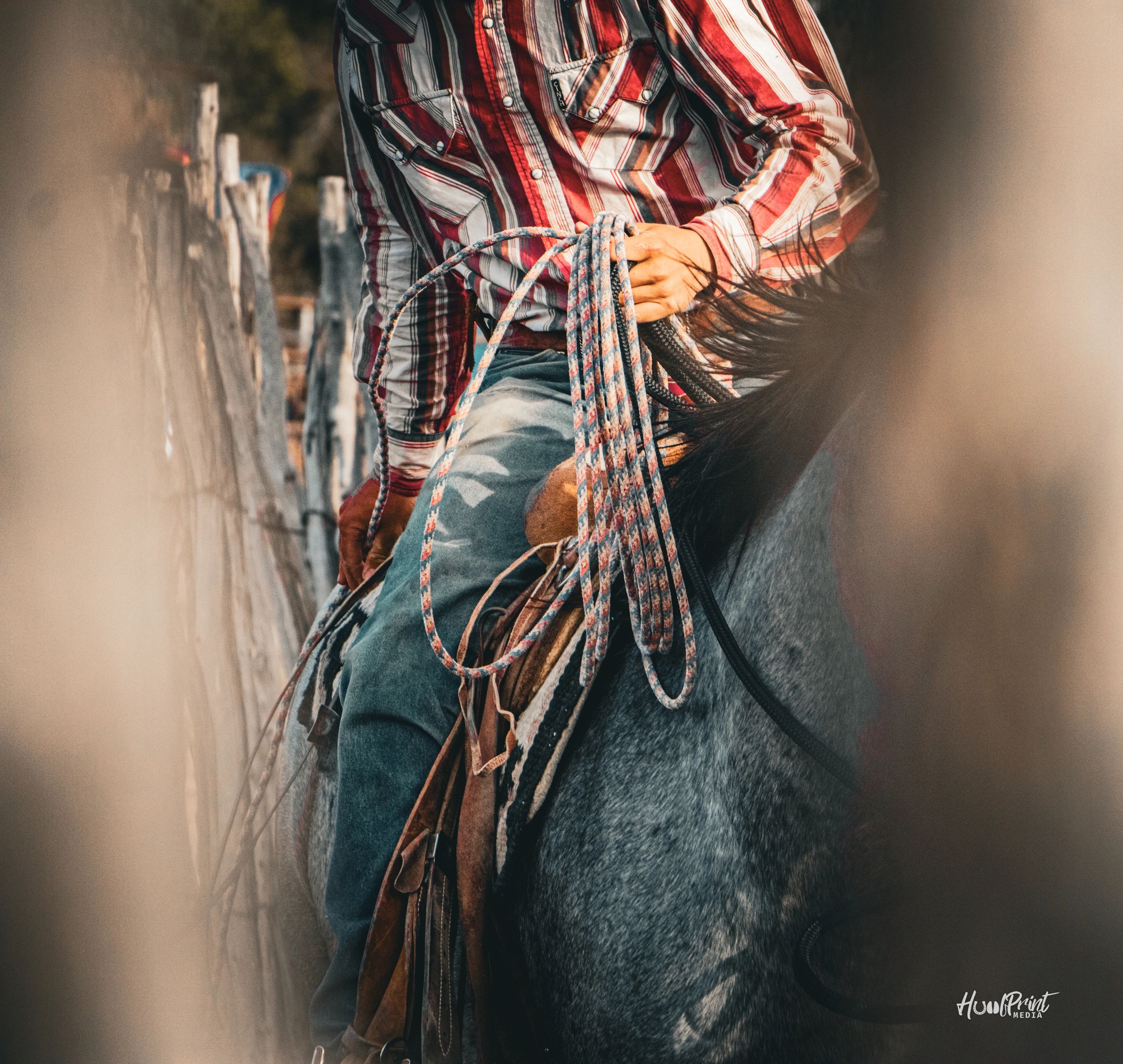 Shadye Primrose Alberta horse trainer. 
Colt starting. Alberta horse training.
western horse trainer