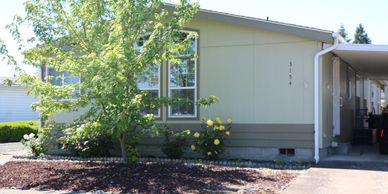 A small tree and yellow flowers in front of a light green house.