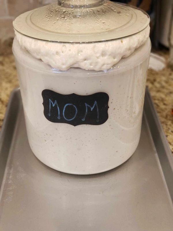 Sourdough Starter