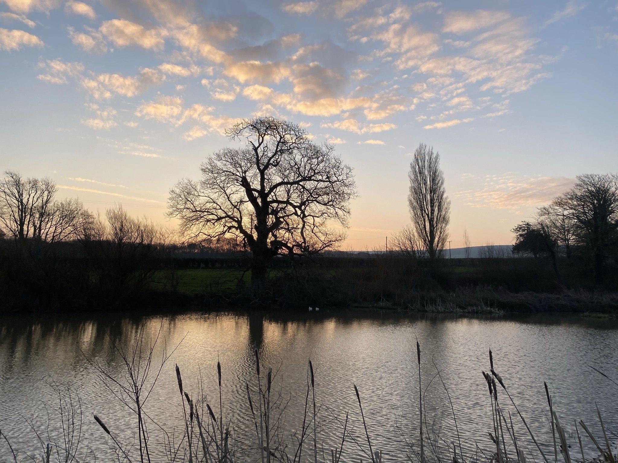 Seasonal visit at Westover Farm