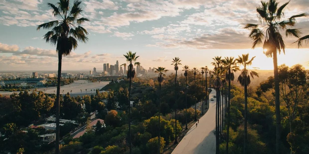 Starting with consulting for small-cap local companies in Los Angeles, we've grown to develop relati