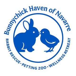Bunnychick Haven of Navarre
