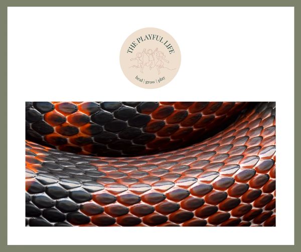 A close up of snake skin. Snake toys are commonly found in play therapy sessions.