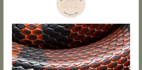 A close up of snake skin. Snake toys are commonly found in play therapy sessions.