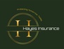 kimhayesinsurance.com
