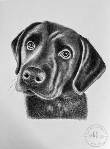 Created in Ballpoint Pen