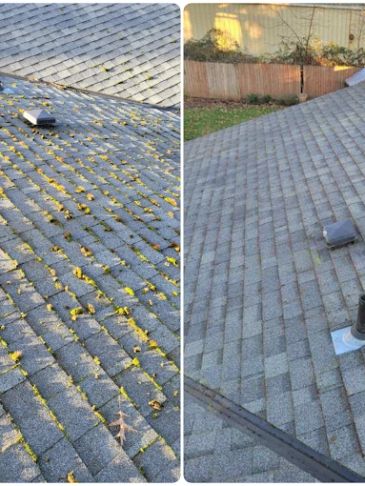 Roof before and after cleaning showing moss removal.
