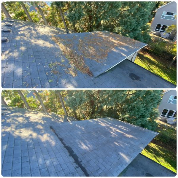 Roof before and after cleaning pine needles and debris.