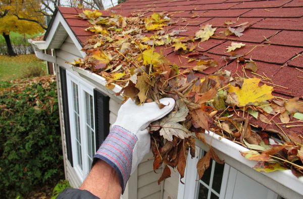 Person cleaning autumn leaves from a house gutter.